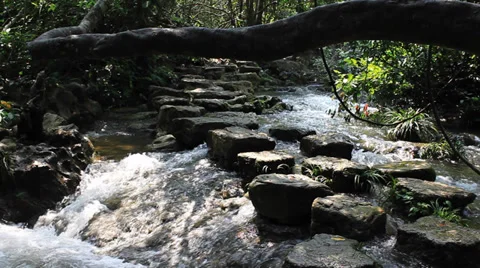 Stone path waterfall Vídeos de archivo 32237037