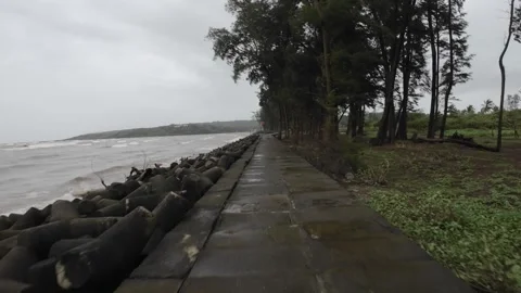 Stone Path Way At Beach Shore Line With Concrete Blocks Row And Trees Stock Footage 280562522