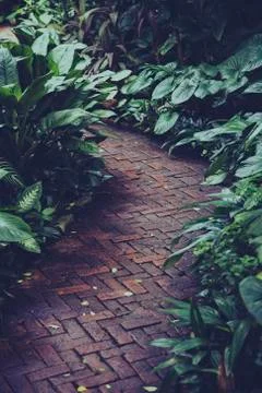 Stone path way in garden Stock Photos