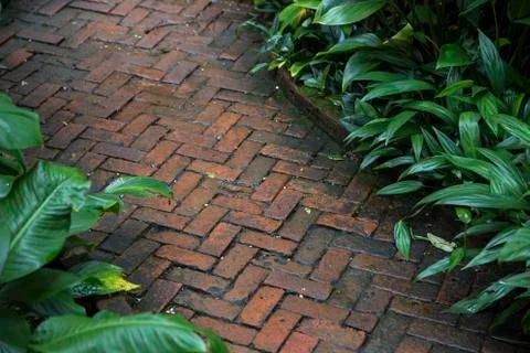 Stone path way in garden Stock Photos