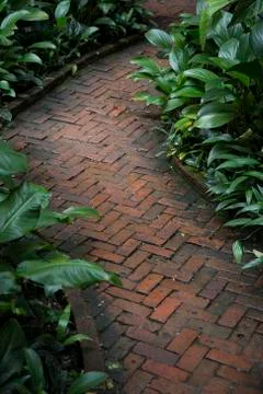 Stone path way in garden Stock Photos