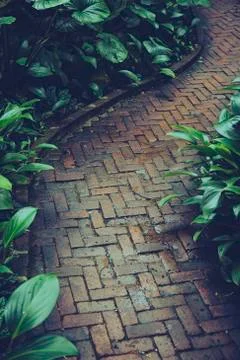 Stone path way in garden Stock Photos
