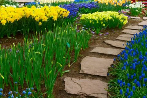 Stone path winding in a garden Stock Photos
