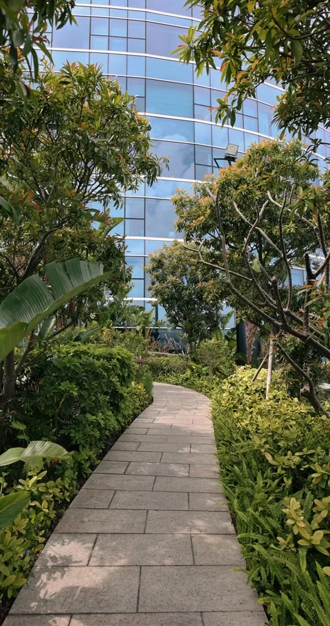 Stone Path Winding Through Lush Garden by Modern Glass Skyscraper Stock Footage 328309284
