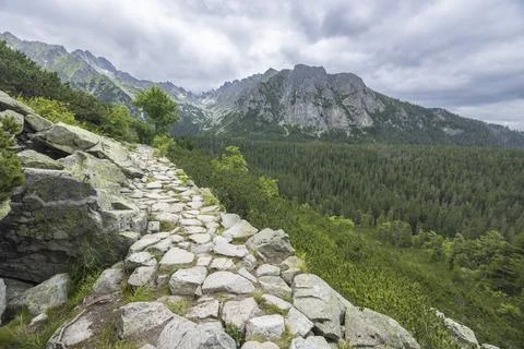 Stone path winding through Vysoke Tatry mountains Stock Photos