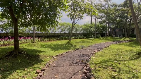 A stone path winds through the green garden on a sunny day. Stock Footage 320501044