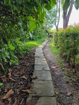 Stone path winds through green garden Stock Photos
