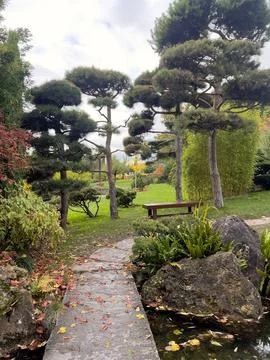 A stone path winds through a Japanese garden, with fallen leaves scattered .. Stock Photos