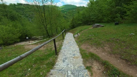 Stone path winds through lush green forest. Gostilje Waterfall, Serbia. 库存影片 337059597