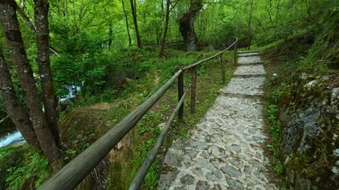 Stone path winds through lush green forest. Gostilje Waterfall, Serbia. Video stock 337060976