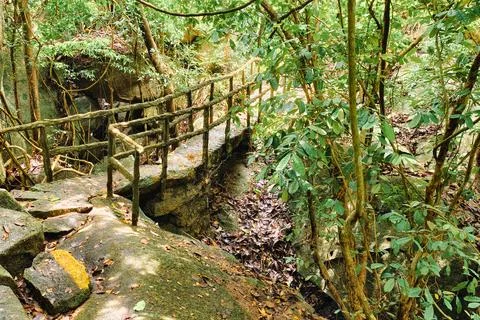 Stone path with wooden railing winds through lush tropical forest Stock Photos