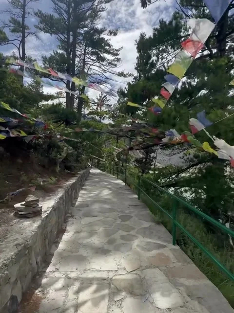 Stone Pathway Decked With Colorful Prayer Flags Video stock 341629843