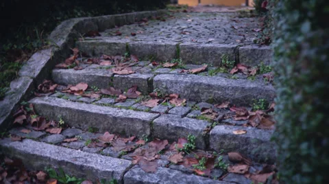 Stone pathway Stock Footage 31093714