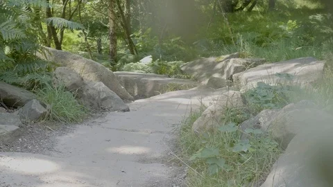 Stone pathway Stock Footage 112968053