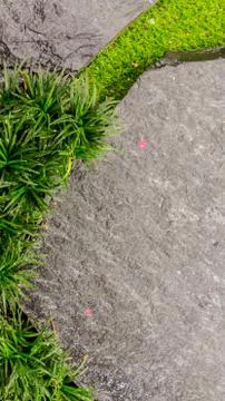 Stone pathway in garden. Stock Photos