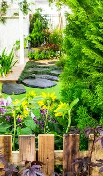 Stone pathway in garden.. Stock Photos