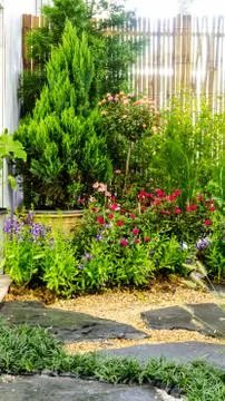 Stone pathway in garden.. Stock Photos