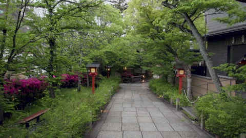 Stone Pathway with Godo-toro Lanterns and Pink Azaleas - Kyoto, Japan Stock Footage 336828747