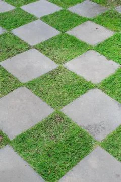 Stone pathway with green grass Foto stock