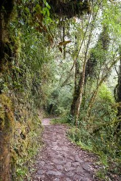 Stone Pathway of the Inka Trail, Cusco, Peru Stock Photos