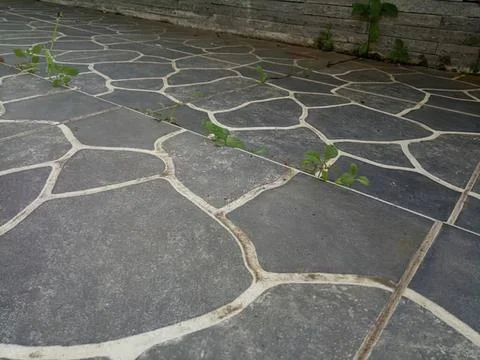 Stone pathway with irregular shapes and small plants Stock Photos