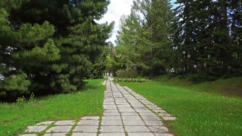 Stone Pathway in a Lush Green Park 库存影片 84840280