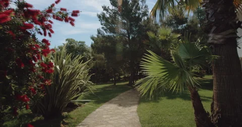 Stone pathway next to a building surrounded by trees Stock Footage 254845901
