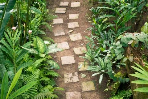 Stone pathway Stock Photos