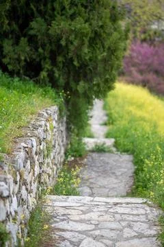 Stone pathway with steps beside rustic wall and wildflowers Stock Photos
