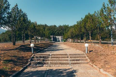 Stone pathway with steps leading toward a historic monument surrounded by trees. Stock Photos