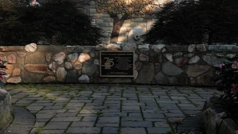 Stone pathway to the stone tree Stock Footage 249396507