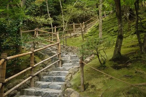 Stone pathway through lush forest Foto stock