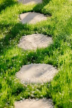 Stone pathway through lush green grass in sunny garden, landscaping concept. Stock Photos