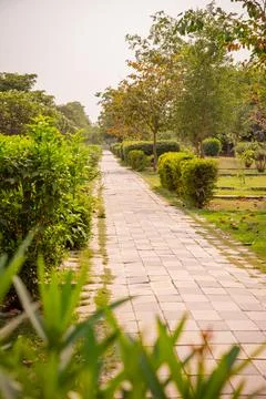Stone Pathway Through Lush Green Park Landscape Fotos Stock