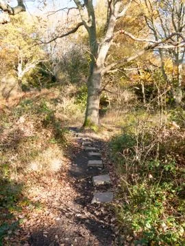 Stone pathway walkway empty no people countryside autumn Stock Photos