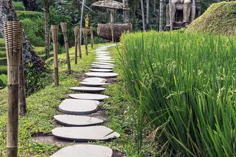 A stone pathway winds through lush greenery, leading to a traditional hut ami 스톡 사진