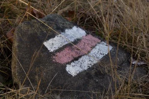 A stone with a pattern on the field Stock Photos