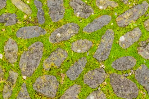 Stone Pattern Path Stock Photos