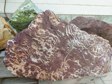 Stone with a pattern Foto stock