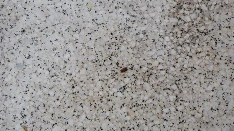 Stone pattern wallpaper background Stock Photos