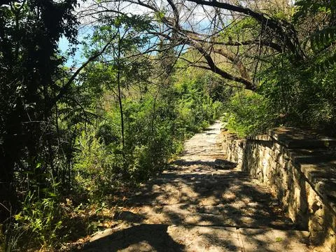 A stone-paved path among the trees in the city park. Bulgaria. Balchik. Stock Photos