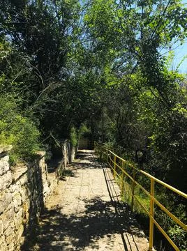 A stone-paved path among the trees in the city park. Bulgaria. Balchik. Stock-Fotos