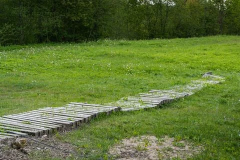 Stone paved path winding through a lush green meadow with trees in the back.. Foto stock