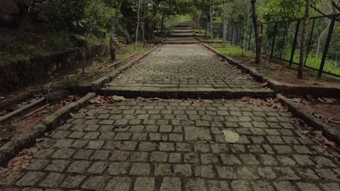 Stone paved pathway in a park, chitharal Jain temple road, Kanyakumari Stock Footage 205876617