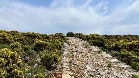 A stone-paved road winds through low vegetation under a blue sky on Kastellorizo Stock Photos