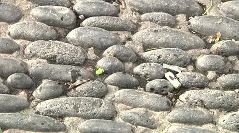 Stone Pavement Stock Footage 9876978