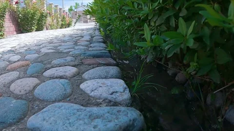 Stone pavement in the garden Stock Footage 246427221