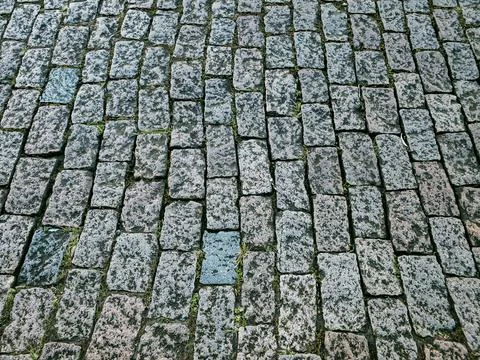 Stone pavement in perspective. Stock Photos