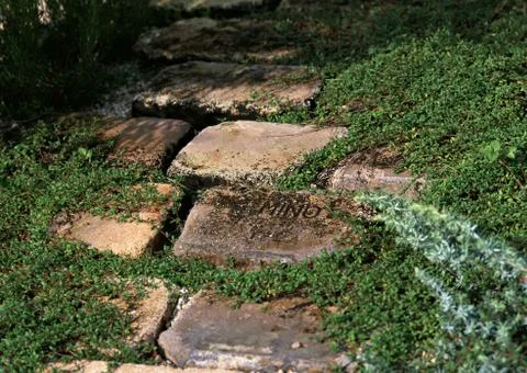 Stone Pavement Stock Photos