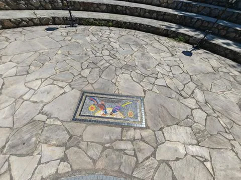 Stone pavement with rectangular mosaic of colorful birds Stock Photos
